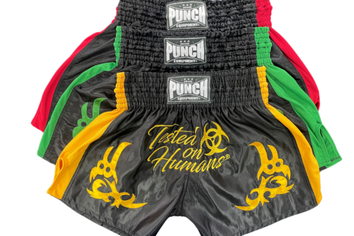 THAI SHORTS - Tested on Humans® - Image 9