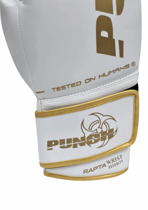BOXING GLOVES - Urban™ RAPTA - 10oz - Image 4