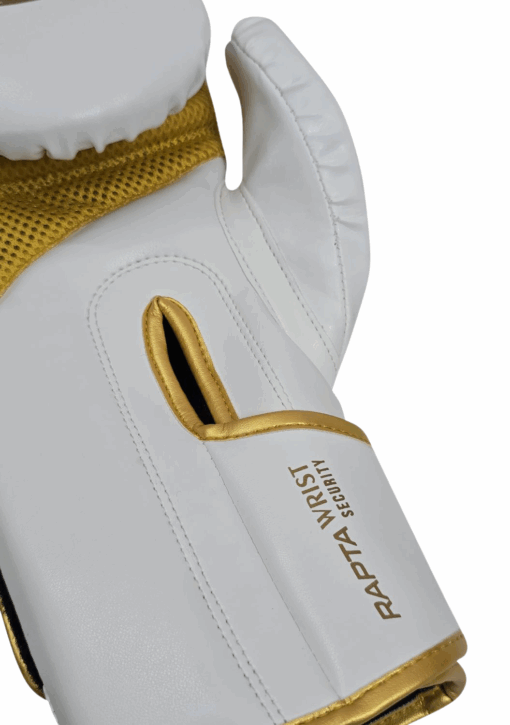 BOXING GLOVES - Urban™ RAPTA - 10oz - Image 5