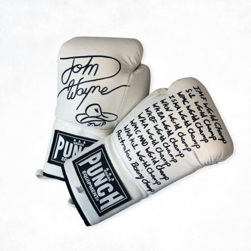 BOXING GLOVES - Autograph/ Signature ONLY - Image 2