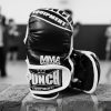 MMA GLOVES - Shooto SPARRING - JUNIOR — Buy Online Australia | Ringside Sports