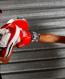 ONLINE BOXING / PAD HOLDER SAFETY COURSE